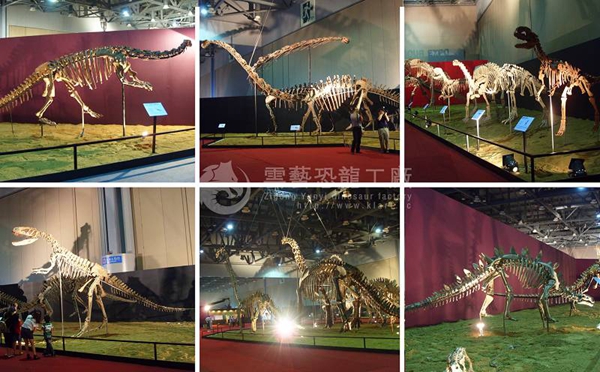 Korea Dinosaur Fossil Exhibition