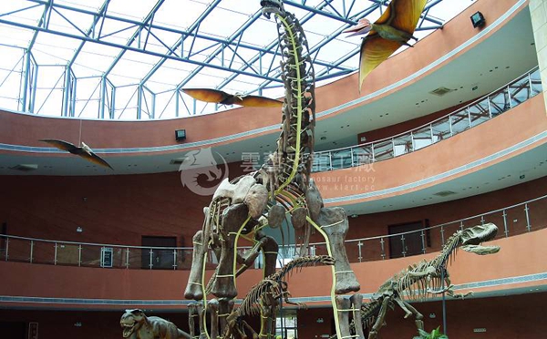 Exhibits of dinosaur specimen models made by Heyuan Dinosaur Museum
