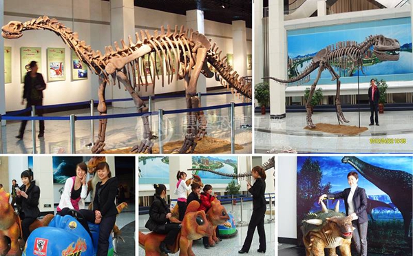 Dinosaur fossils in Jilin Museum