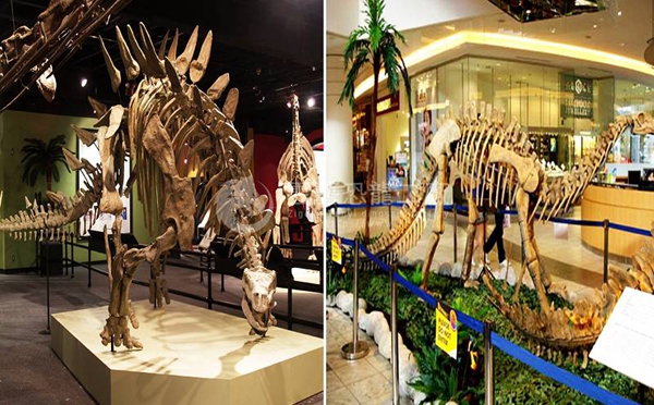 Simulation of dinosaur fossils in Liaoning Museum