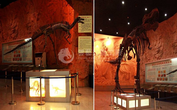 Dinosaur fossils in Xixia Museum