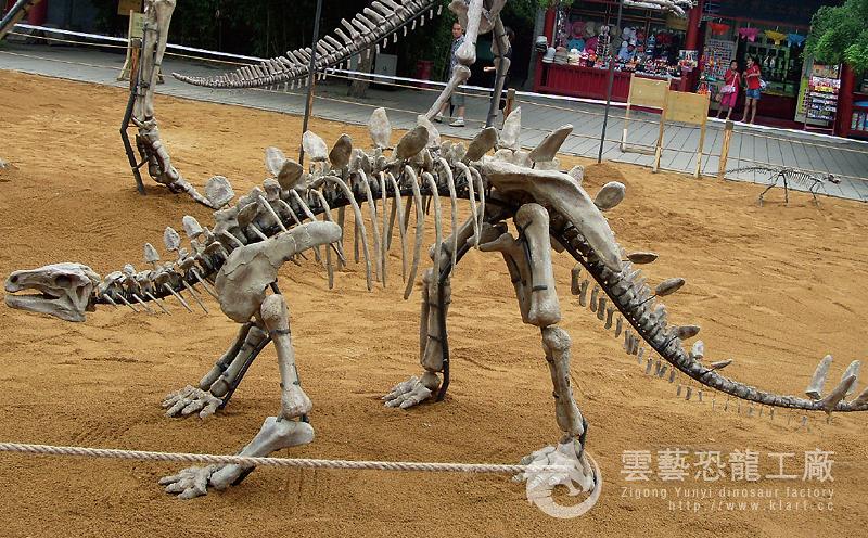 Simulation Huayang Dragon skeleton