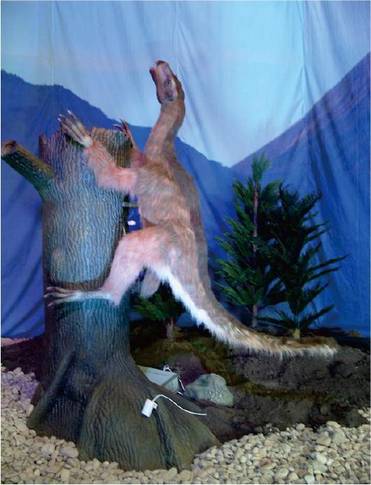 Beipiaosaurus 4m.jpg